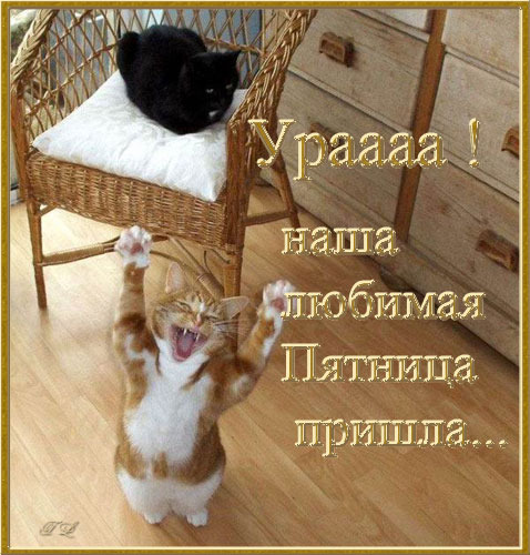  (478x500, 87Kb)