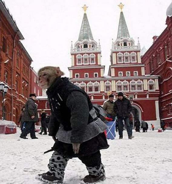 Секс, ложь и фото. Что делал фотограф Ги Бурден с людьми и предметами | Forbes Life