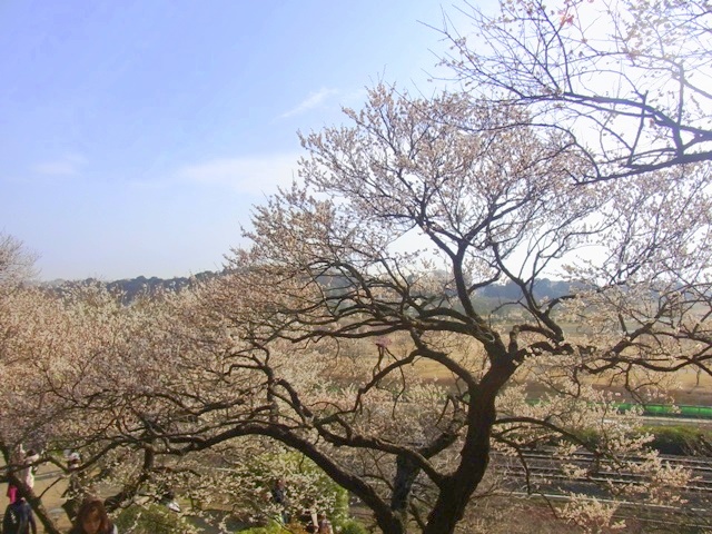 (640x480, 174Kb)