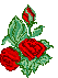  (53x71, 3Kb)