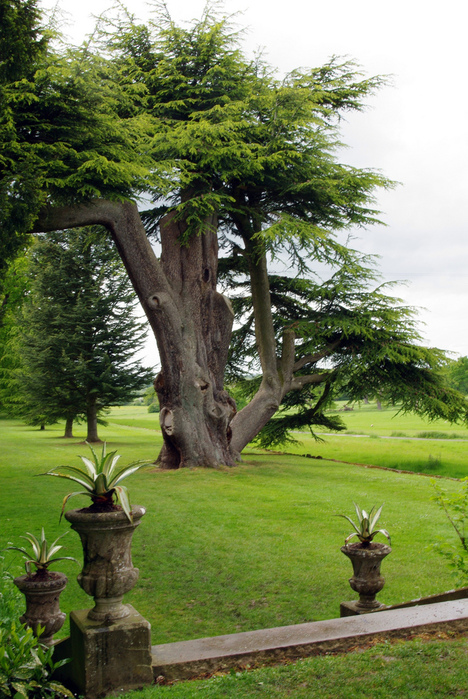 усадьбa Хэнбери Холл (Hanbury Hall), Вустершир 78724