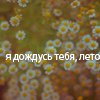  (100x100, 4Kb)