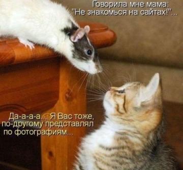 Все дружно выполняем:))) (360x336, 19Kb)