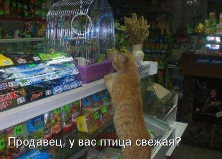 Все дружно выполняем:))) (448x321, 32Kb)