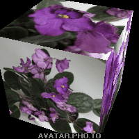  (200x200, 267Kb)
