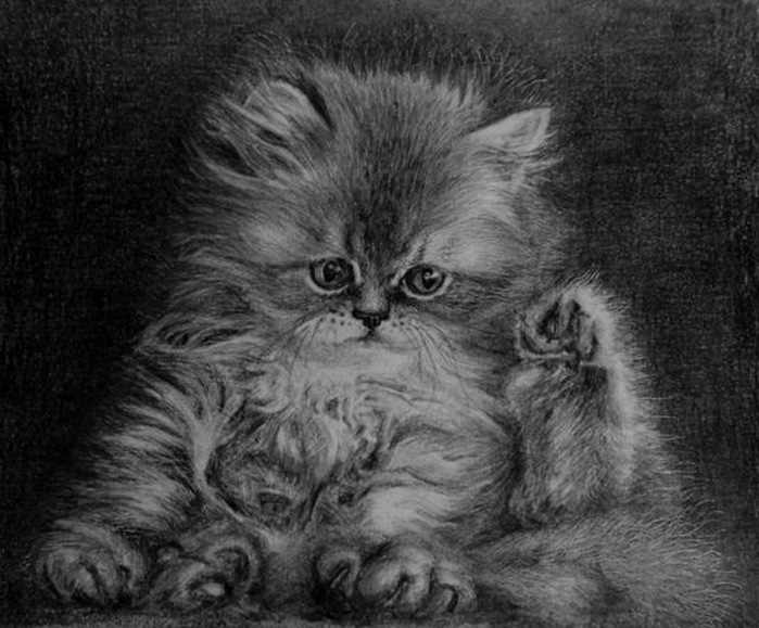 Кошки Ирины Мирошниковой (699x579, 116Kb)