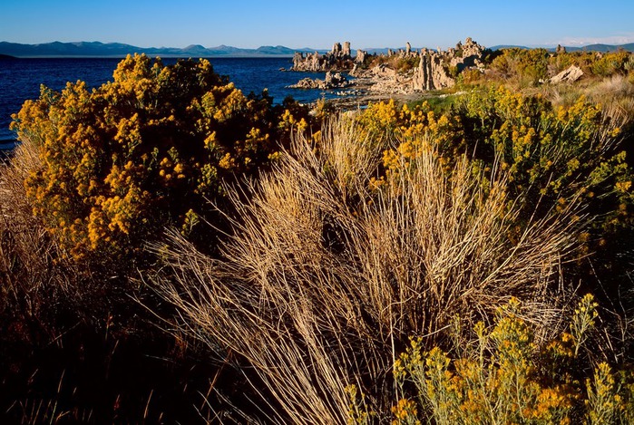 Озеро Моно - Mono Lake, 67084