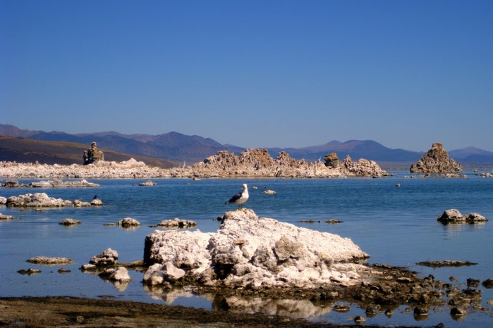 Озеро Моно - Mono Lake, 93193