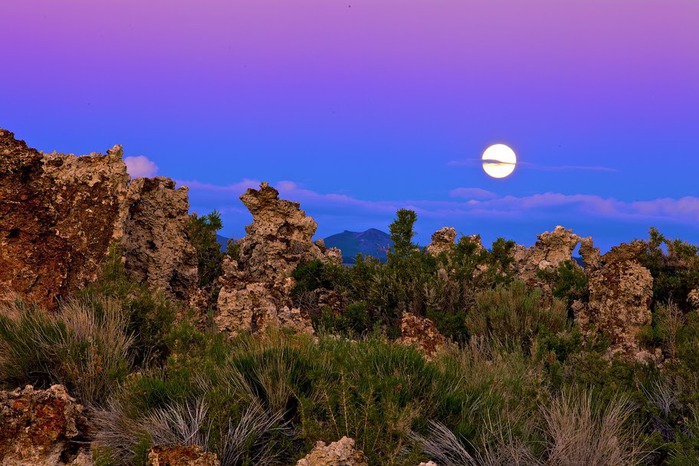 Озеро Моно - Mono Lake, 95290