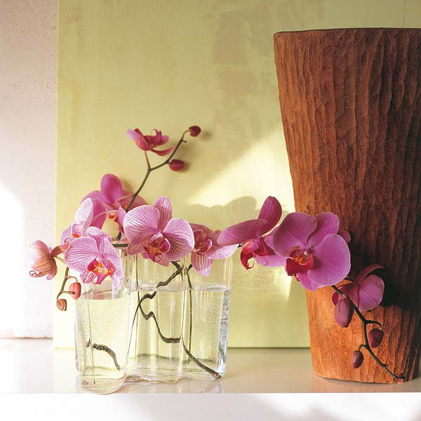 Ваза и кашпо для орхидей 72685637_wonderfulorchidsideas31