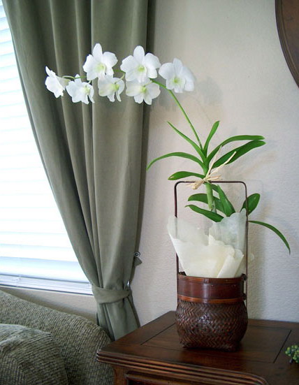 Ваза и кашпо для орхидей 72685833_wonderfulorchidsideas312