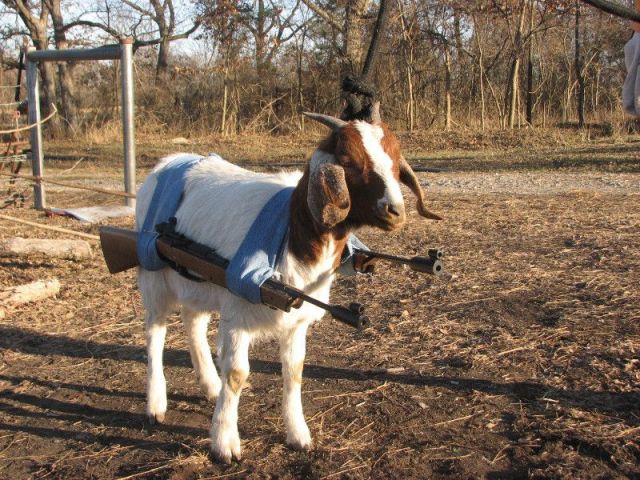  (640x480, 97Kb)