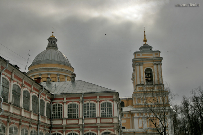 Петербургу назначена весна! Фотопробег. Часть 1. (699x466, 97Kb)