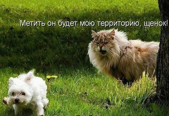 10 лучших подарков для здоровья ВитаПортал - Здоровье и Cached