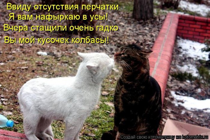http://img0.liveinternet.ru/images/attach/c/2/64/541/64541260_1285535552_442.jpg