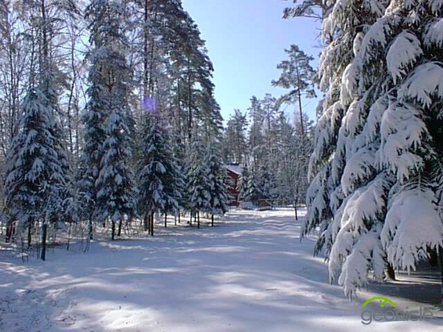 Роял болгария