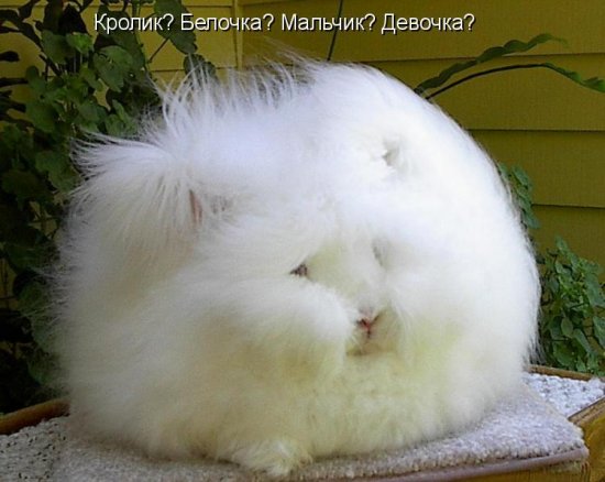 Какие реакции дают лечение