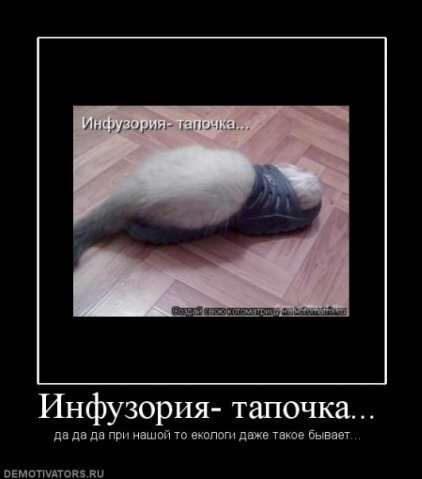приколы видео про девушек пьяных пьяных 18 приколы видео про девушек пьяных пьяных 18