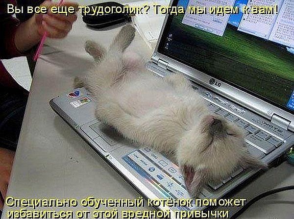дешево купить крутую бейсболку смерть с косой