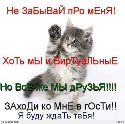 Яндекс открытки я у тебя Яндекс открытки я у тебя