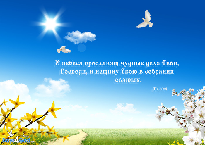 Открытки с цитатами из библии Открытки с цитатами из библии