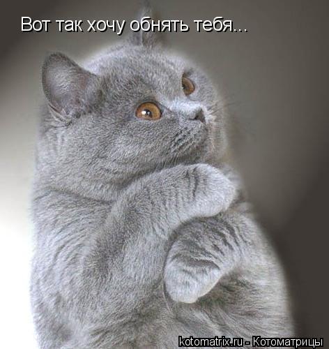 Фразы скучаю в 2019 году Фразы скучаю в 2019 году