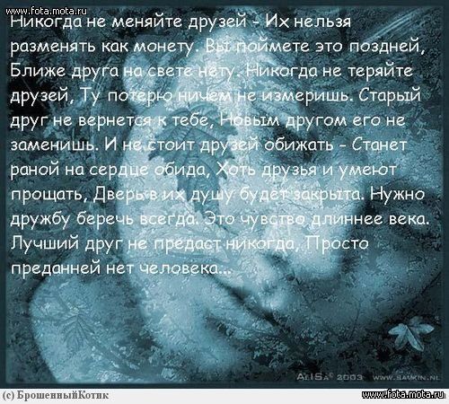 Забавный стих про лето Забавный стих про лето