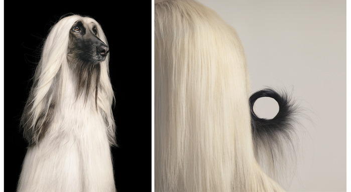 Tim Flach Photography Tim Flach Photography