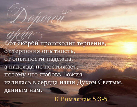 Стих терпение наше Стих терпение наше