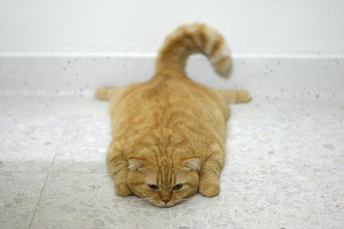 ...http://prikol.i.ua/view/81620/ Мегабоянчик о милой... ...http://prikol.i.ua/view/81620/ Мегабоянчик о милой...