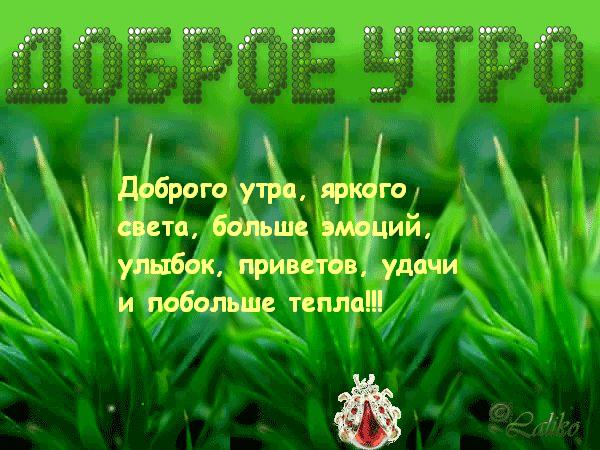 http://img0.liveinternet.ru/images/attach/c/2/69/726/69726264_45394661_utro.jpg