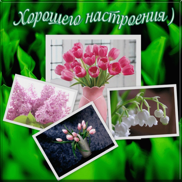 http://img0.liveinternet.ru/images/attach/c/2/70/809/70809493_hor.jpg