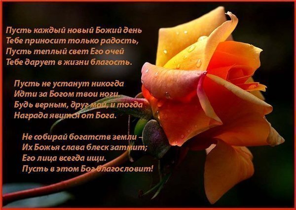 Поздравление с днем рождения для христианина верующего Поздравление с днем рождения для христианина верующего