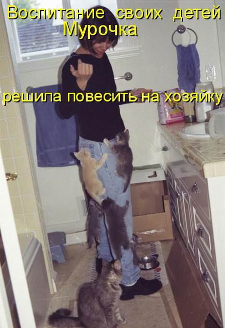 разделить комнату на зоны фото