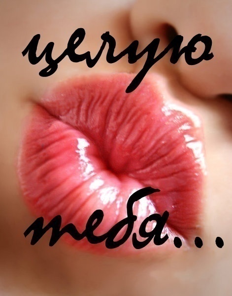 Открытка милый мой Открытка милый мой