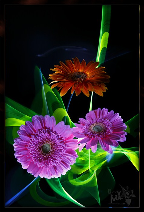 Красивые Картинки На Телефон Движущиеся Цветы