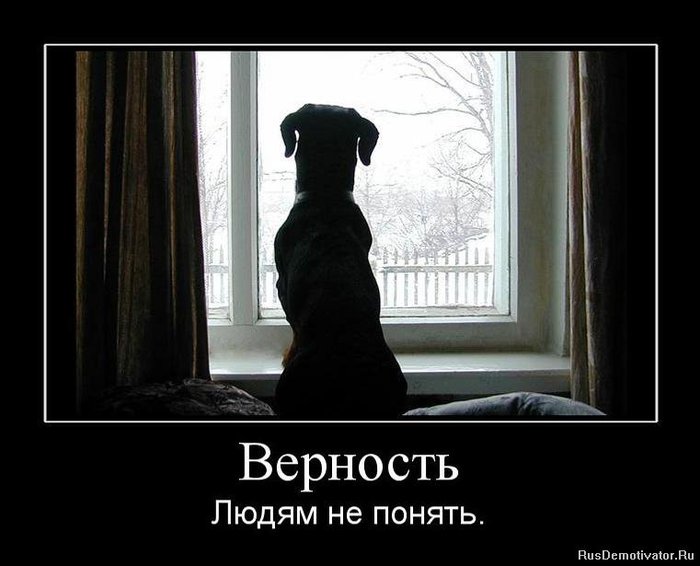 Печальные статусики,картинки,Демотиваторы. Печальные статусики,картинки,Демотиваторы.