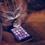 1082876_tumblr_lif8w7sbPA1qa6hruo1_500_oh_Isabel (150x150, 56Kb)