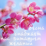 http://img0.liveinternet.ru/images/attach/c/2/73/216/73216846_3749748_89abba79329b194fb4e00b336d4.jpg