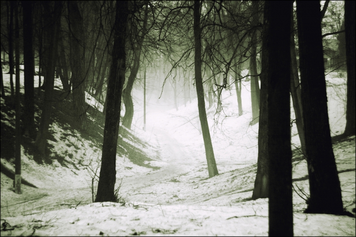 781011_IMG_8939 (700x466, 246Kb)