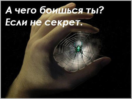 fobii (450x338, 25Kb)