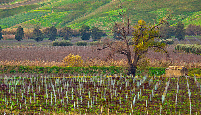 Sicilia  Flickr - Photo Sharing! (700x401, 750Kb)