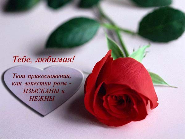 Стих любимая фото