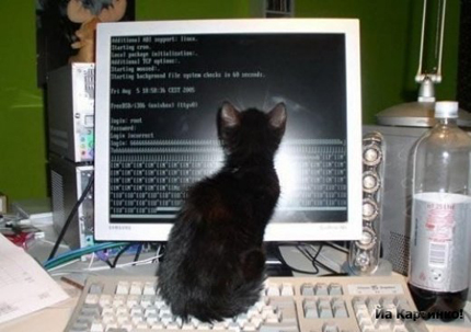 programmist (430x303, 107Kb)