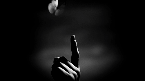 tumblr_ligu2hnpQg1qdwjb5o1_500 (500x281, 499Kb)
