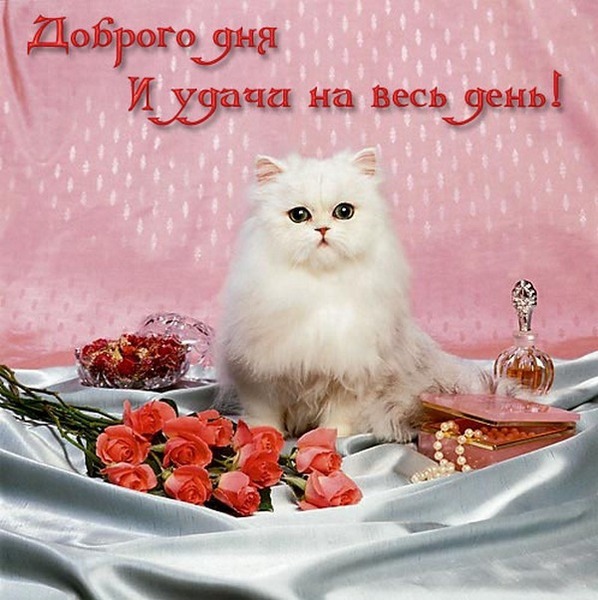 http://img0.liveinternet.ru/images/attach/c/2/73/393/73393942__65533_65533_65533_65533_65533_65533_65533_65533__65533_65533_65533.jpg
