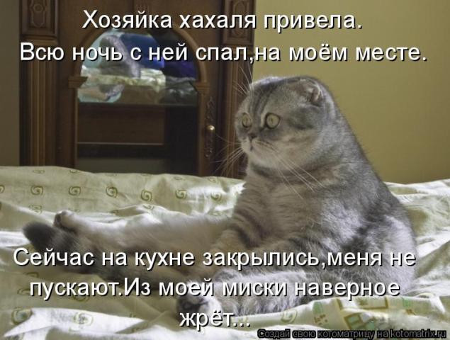 Котоматриця!)))) - Страница 2 73451014_1b63e2cb52f0