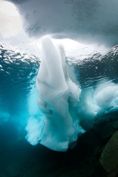 Подводные ледники ! 1275831541-podvodnye-ledniki-10-foto_AddFun.ru_9 (400x600, 35Kb)