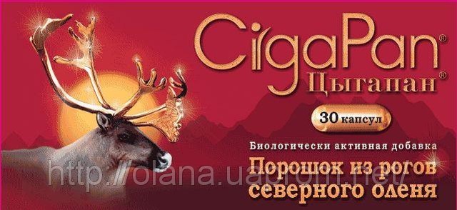 цига (640x294, 59Kb)