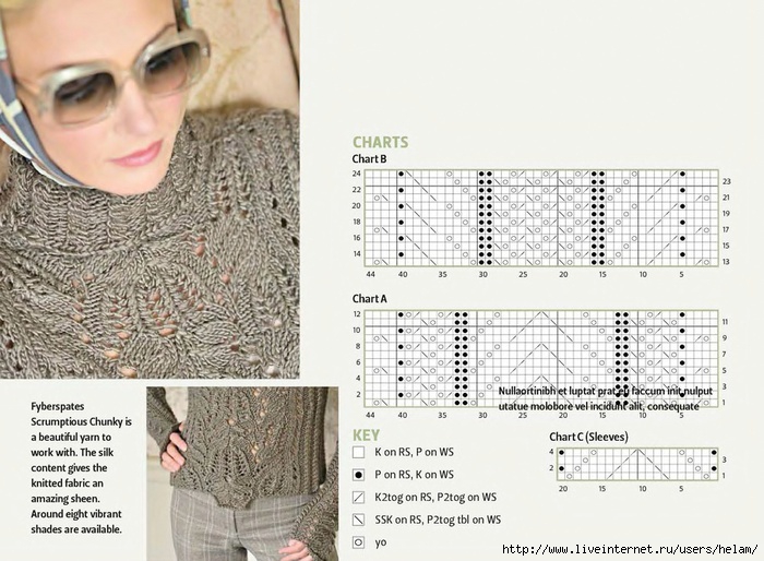 The_Knitter_2009_10_Page_62 (700x514, 238Kb)